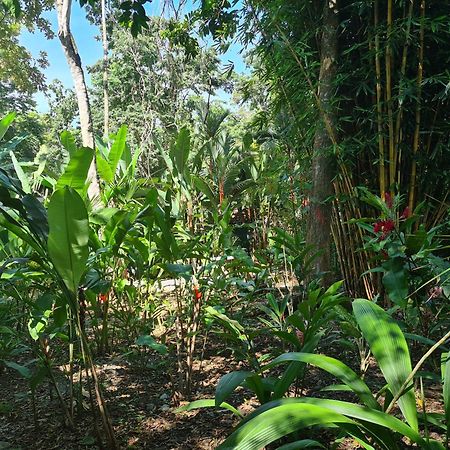 Вілла El Jardin De Playa Negra Puerto Viejo de Talamanca Екстер'єр фото
