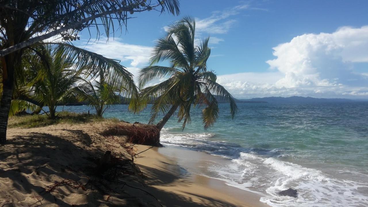 Вілла El Jardin De Playa Negra Puerto Viejo de Talamanca Екстер'єр фото