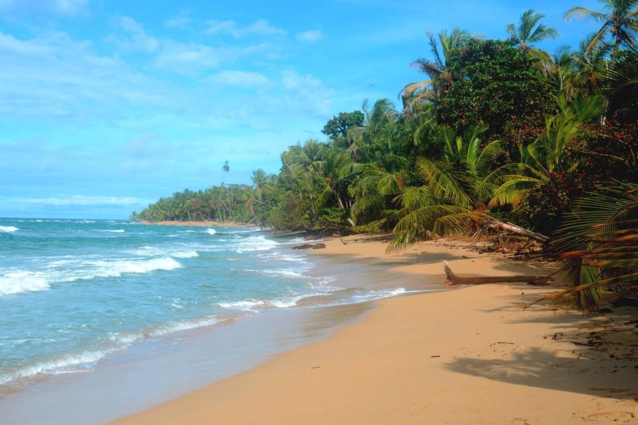 Вілла El Jardin De Playa Negra Puerto Viejo de Talamanca Екстер'єр фото
